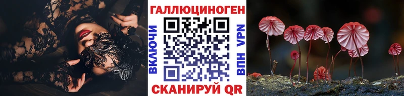kraken зеркало  Петровск-Забайкальский  Галлюциногенные грибы Cubensis 